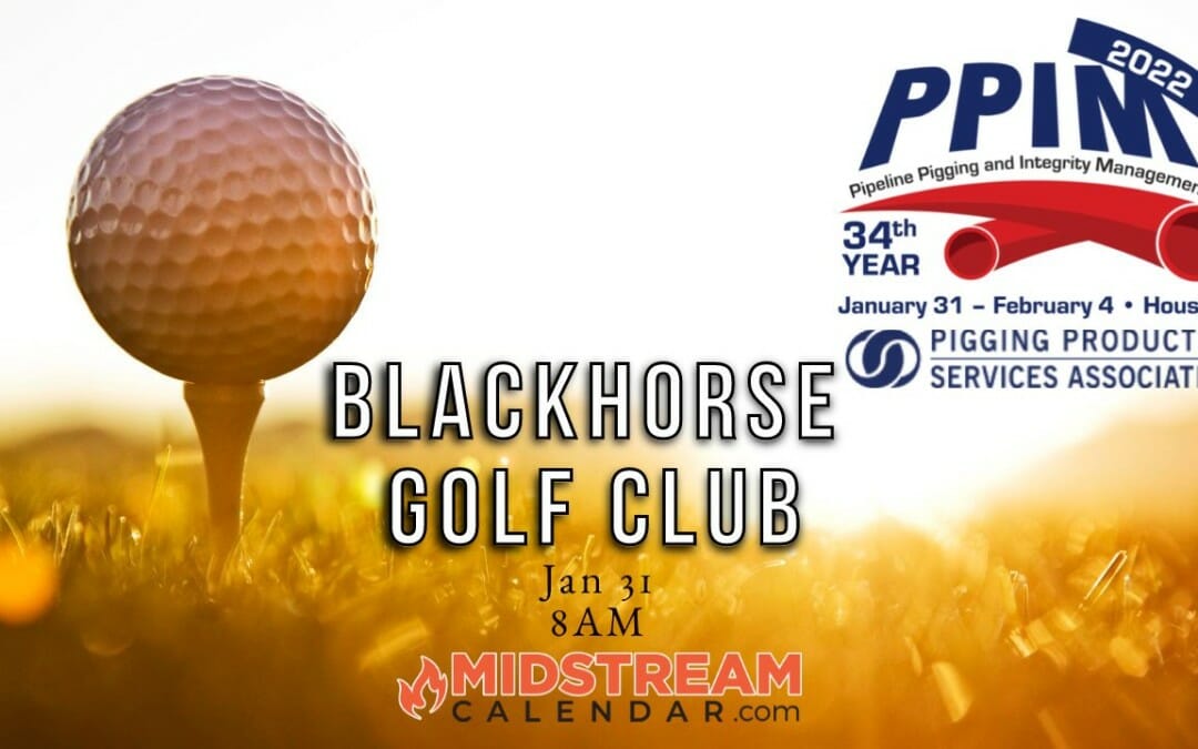 Register NOW for the 2022 PPIM Golf Tournament by PPSA 1/31 – Houston