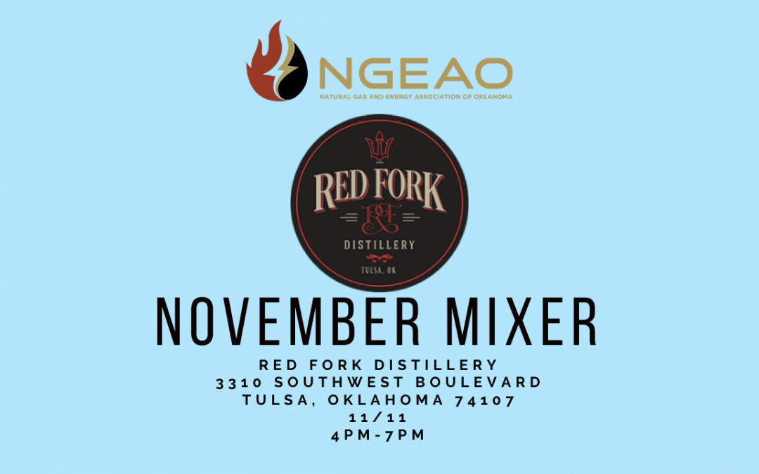 November NGEAO Networking Event