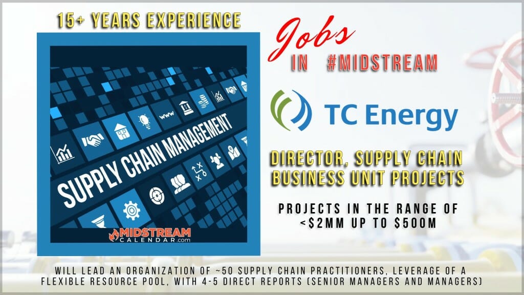 director-supply-chain-business-unit-projects-houston-calgary